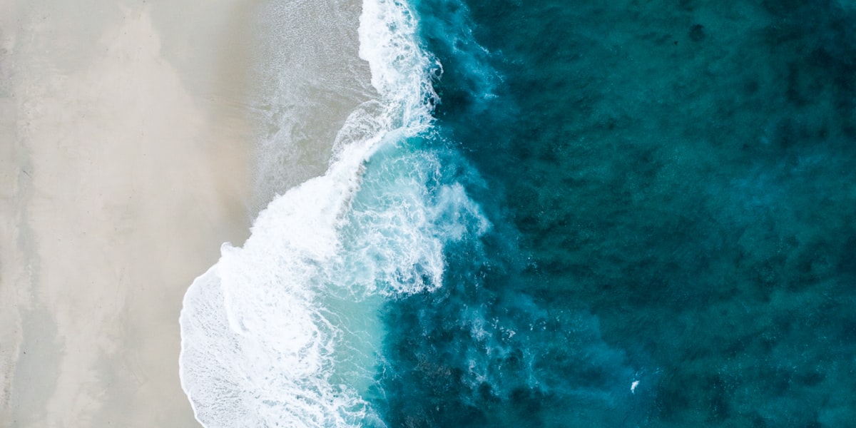 Top 15 Boat Fishing Spots on the East Coast